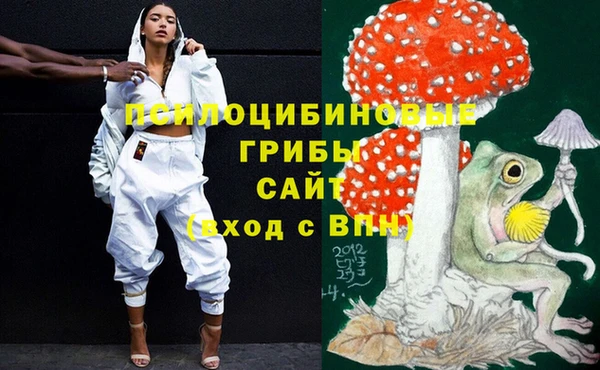 эйфоретик Абинск