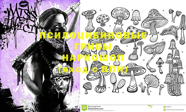 не бодяженный Алзамай