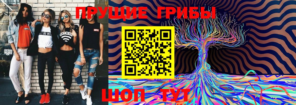 Омск  Галлюциногенные грибы мицелий  Вход с VPN 