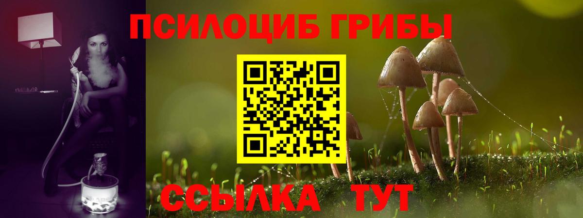 Псилоцибиновые грибы Cubensis Омск